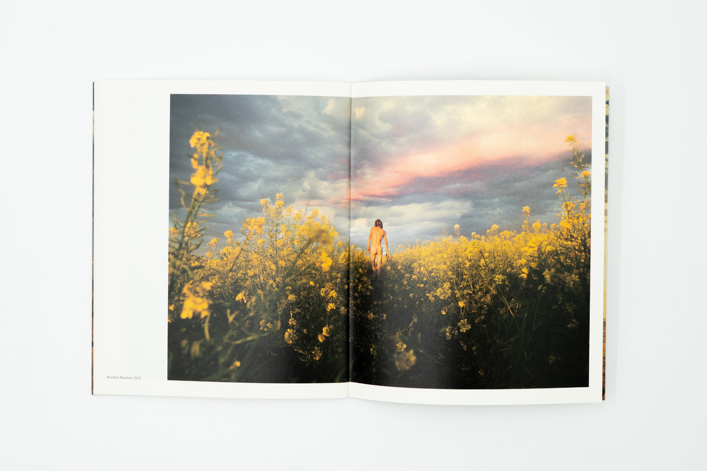 Reach Out, I'm Right here|Ryan McGinley
