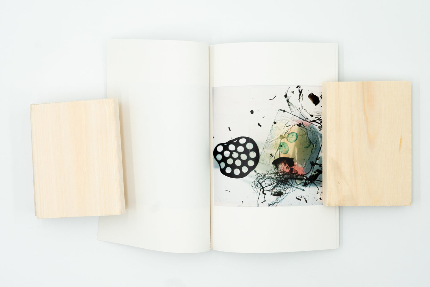 Outside In (Special Charity Book)|Stephen Gill