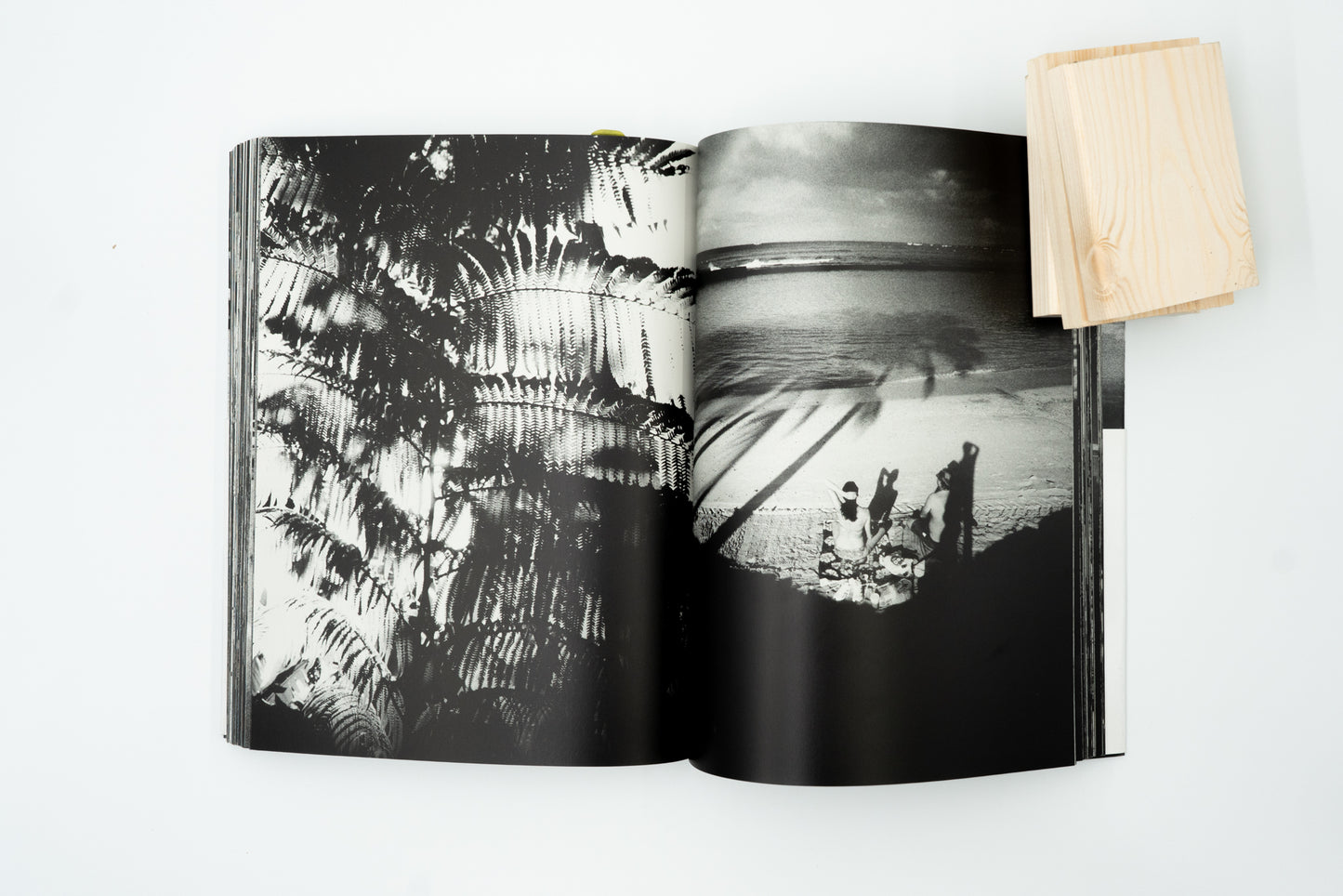 Hawaii|Daido Moriyama
