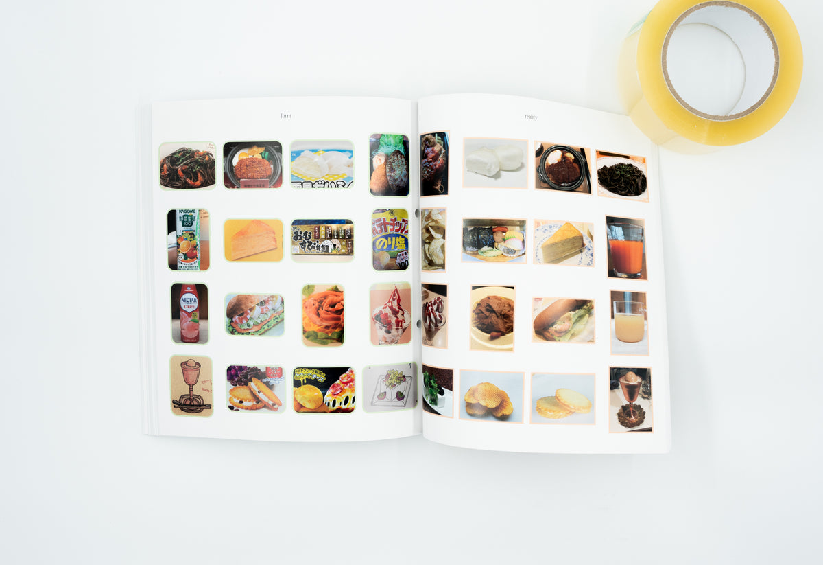 Investigation report of visual form and reality (enlarged edition)|Satoshi Murakami