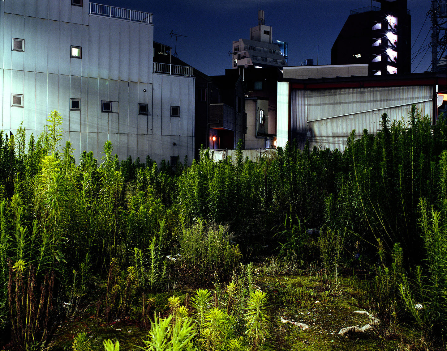 2026年7月19日（日）開催　忘却の地図を歩く Places of Amnesia / 京島・向島フィールドワーク