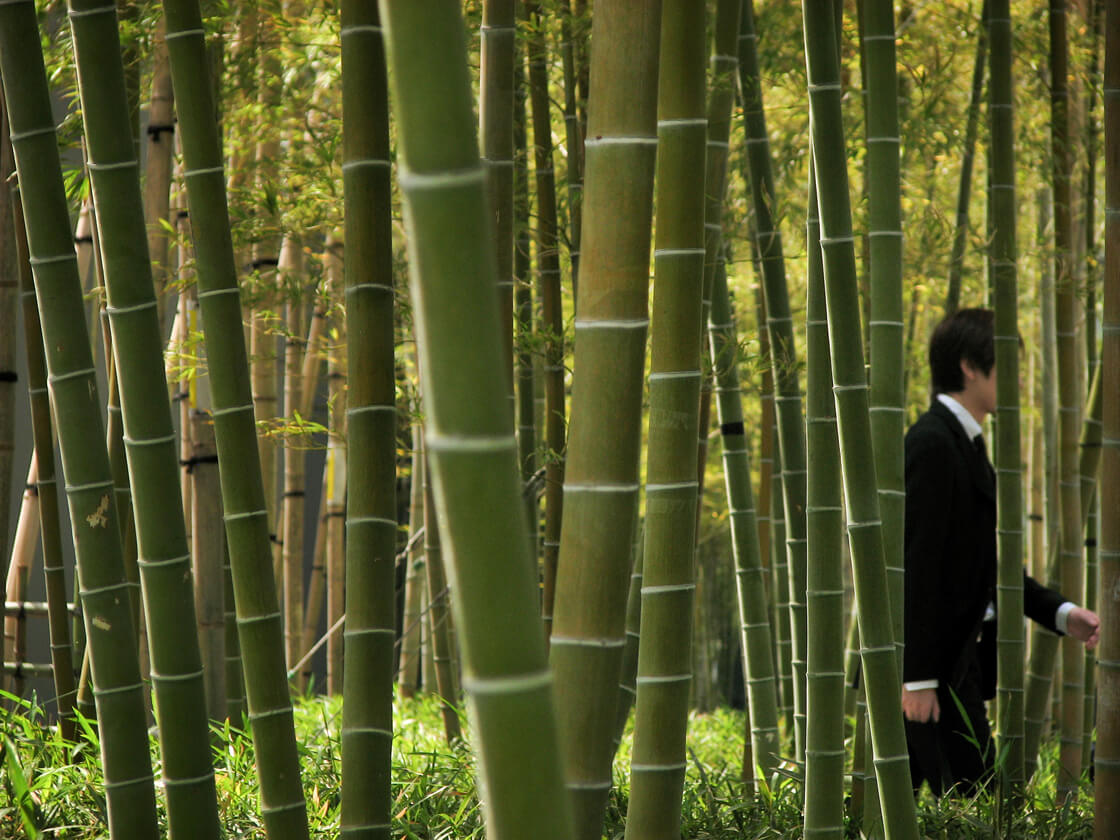Salaryman Project Business Schedule 2013–2015｜Bruno Quinquet
