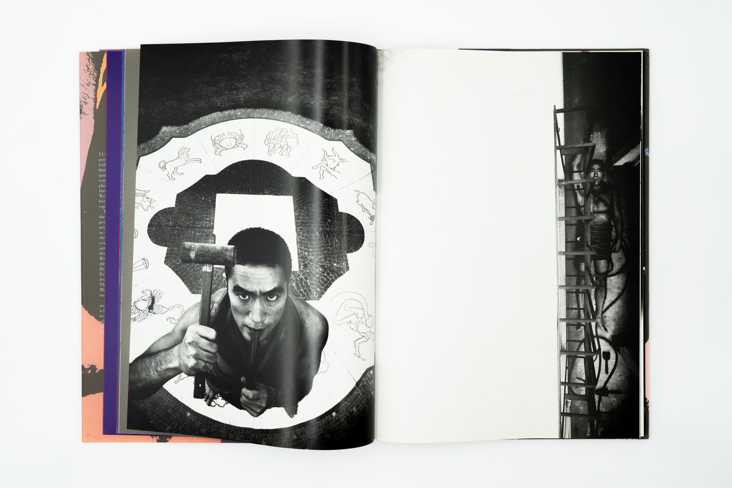 Ordeal by Roses｜Eikoh Hosoe