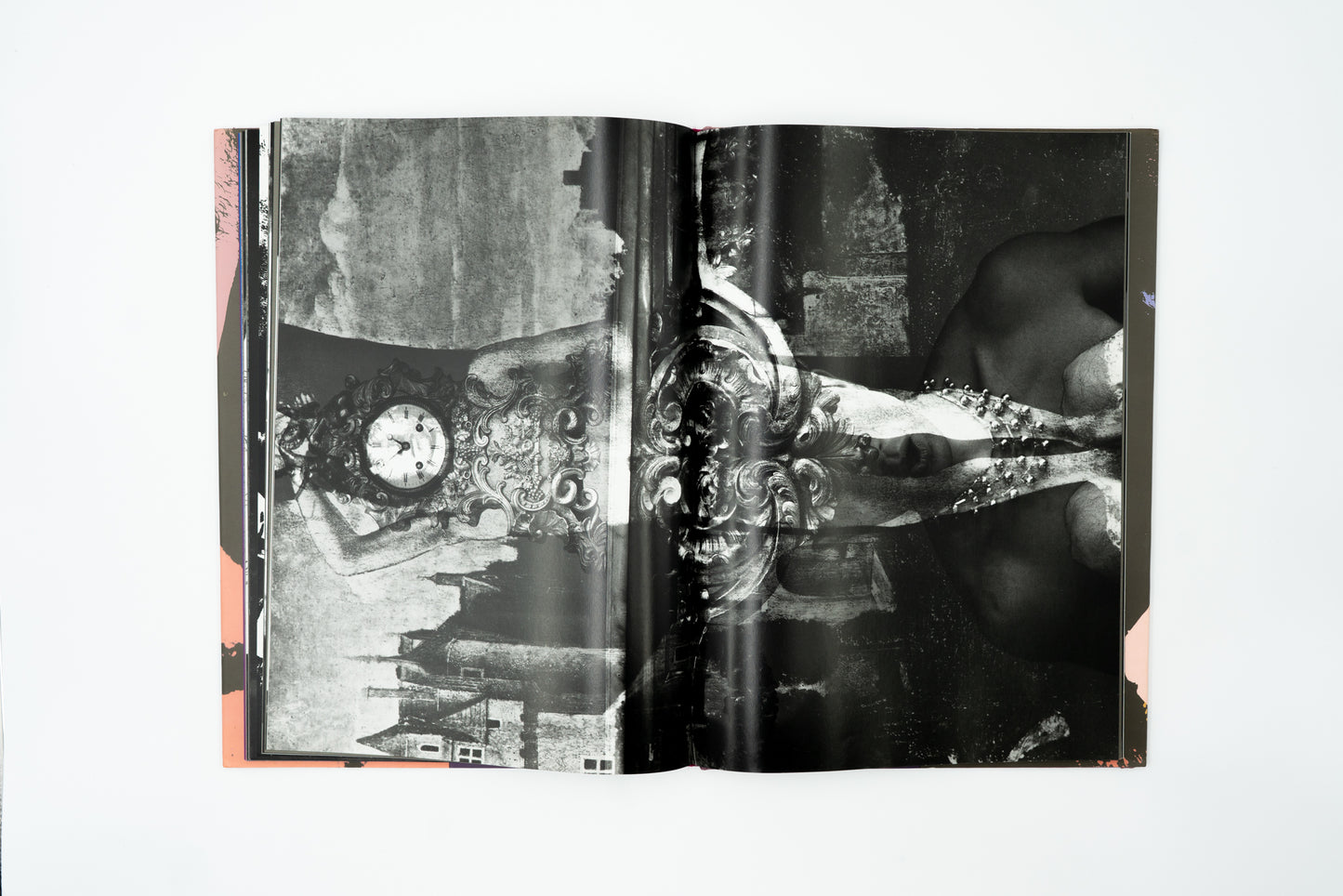 Ordeal by Roses｜Eikoh Hosoe