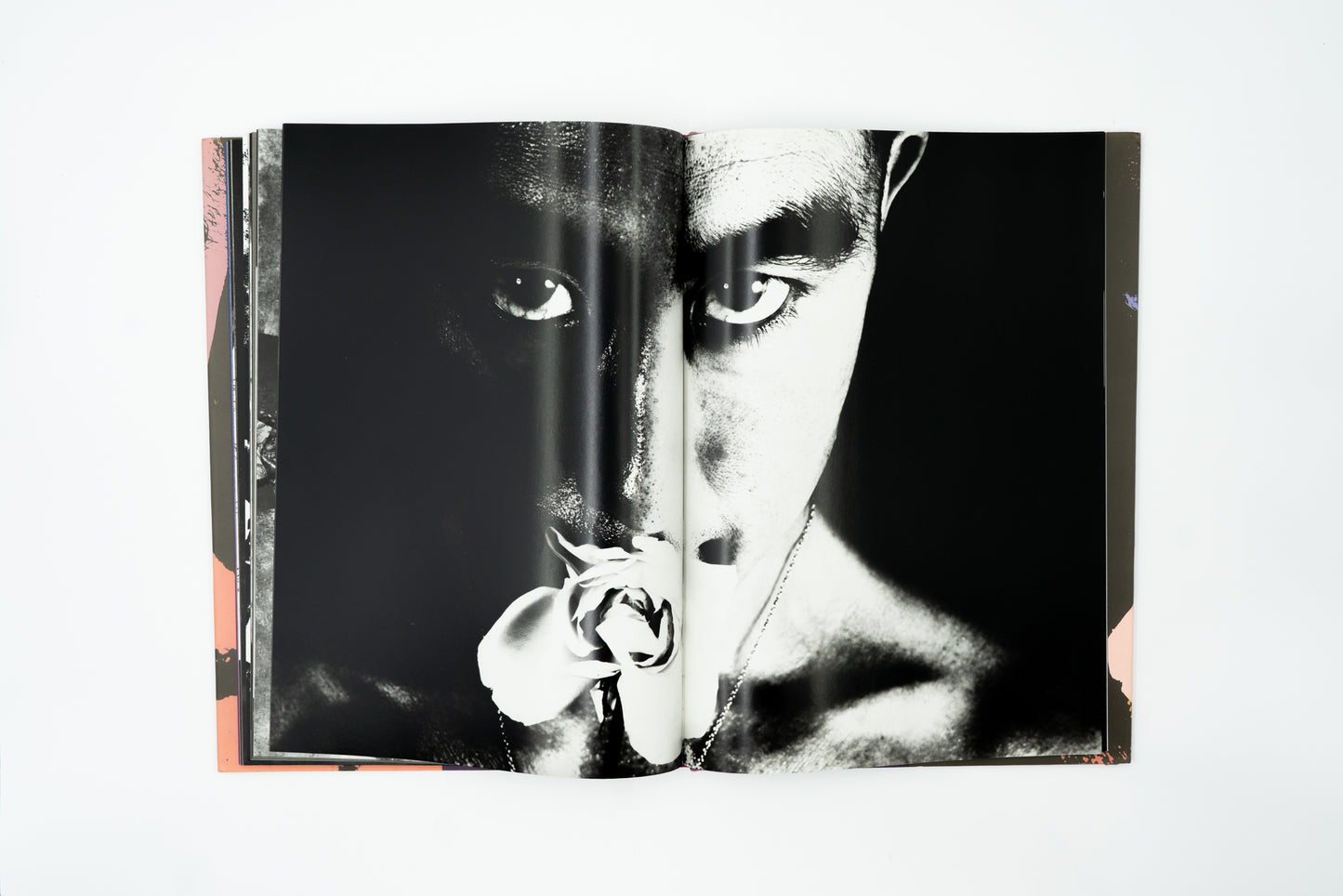 Ordeal by Roses｜Eikoh Hosoe