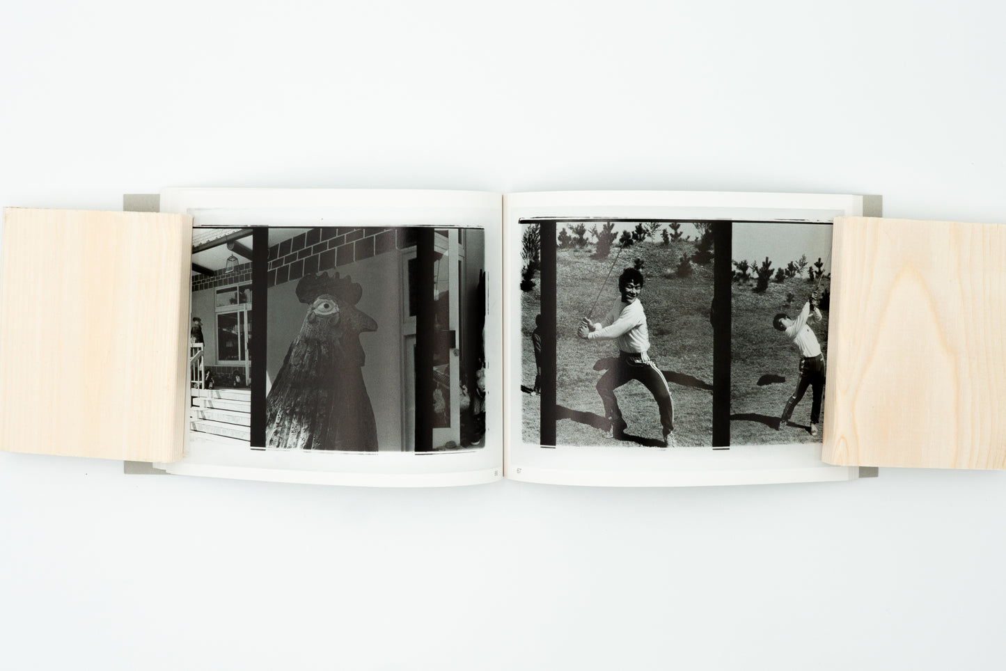 Theater of Love｜Nobuyoshi Araki