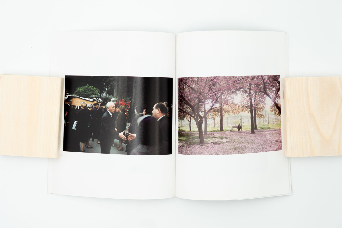 Wild Flowers｜Joel Meyerowitz