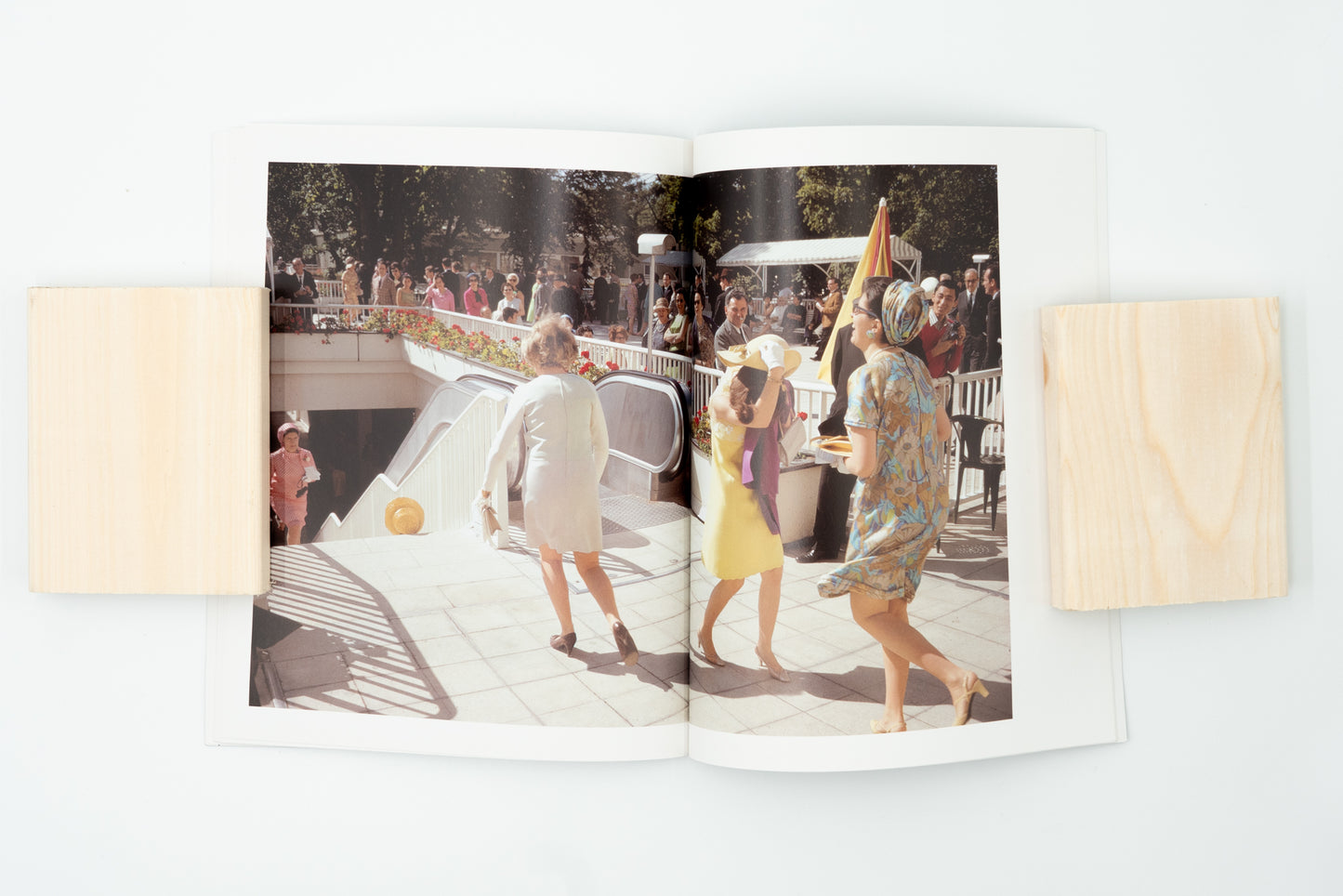 Wild Flowers｜Joel Meyerowitz