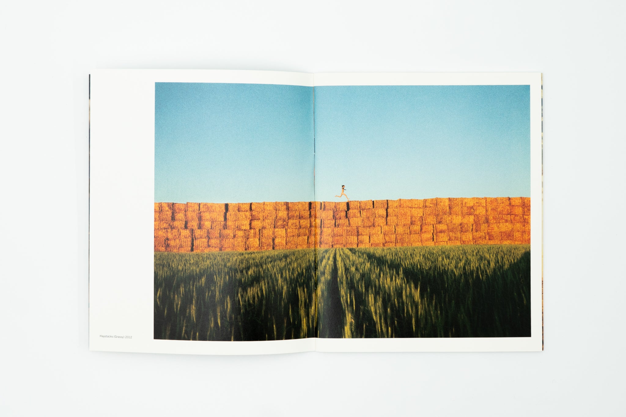 Reach Out, I'm Right here｜Ryan McGinley – nagaya paper lab