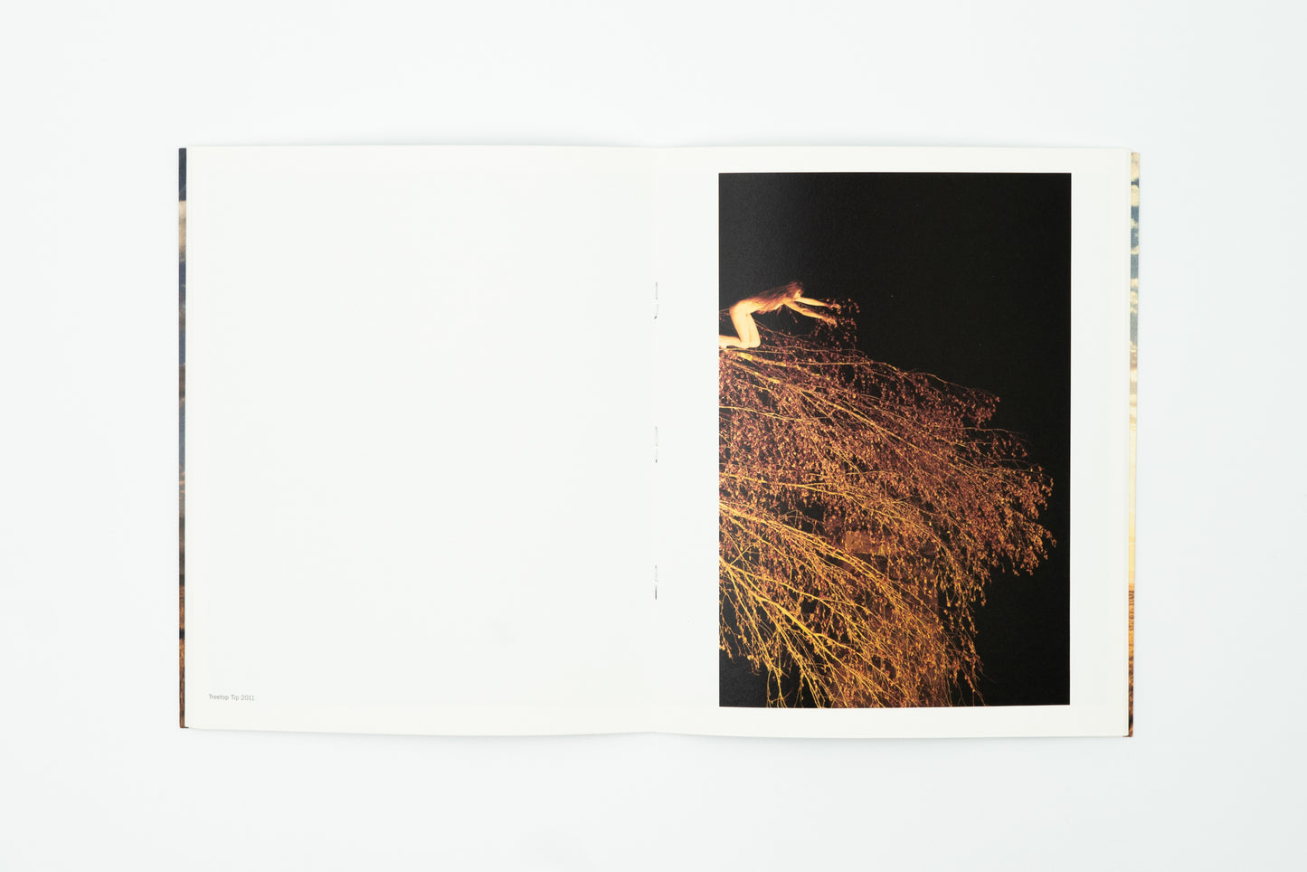 Reach Out, I'm Right here｜Ryan McGinley