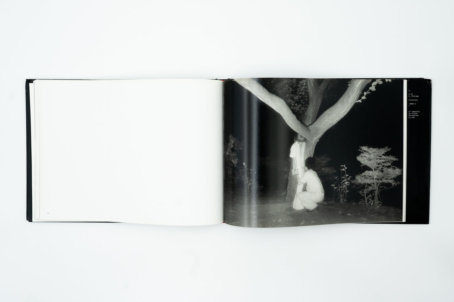 The Park｜Kohei Yoshiyuki 