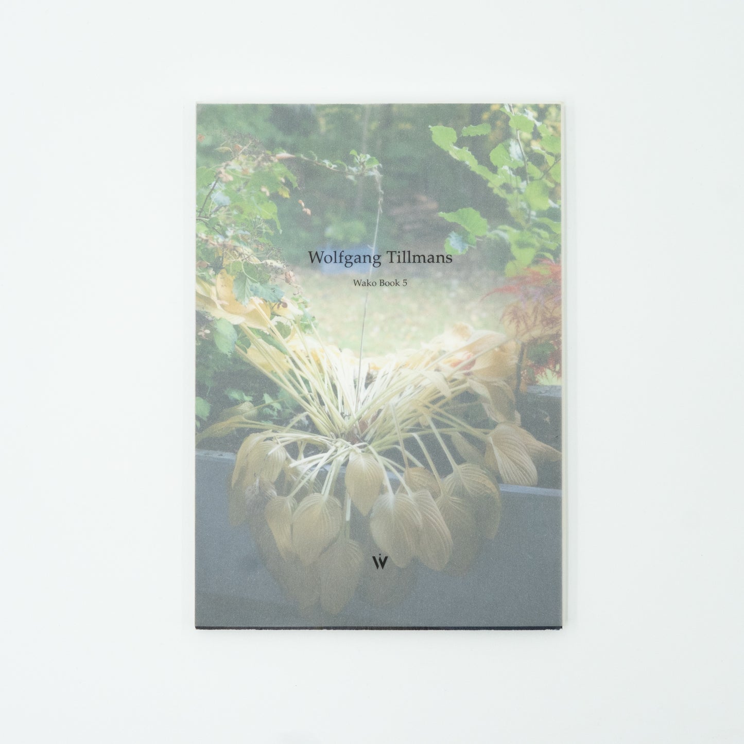 Wolfgang Tillmans Wako Books 5｜Wolfgang Tillmans
