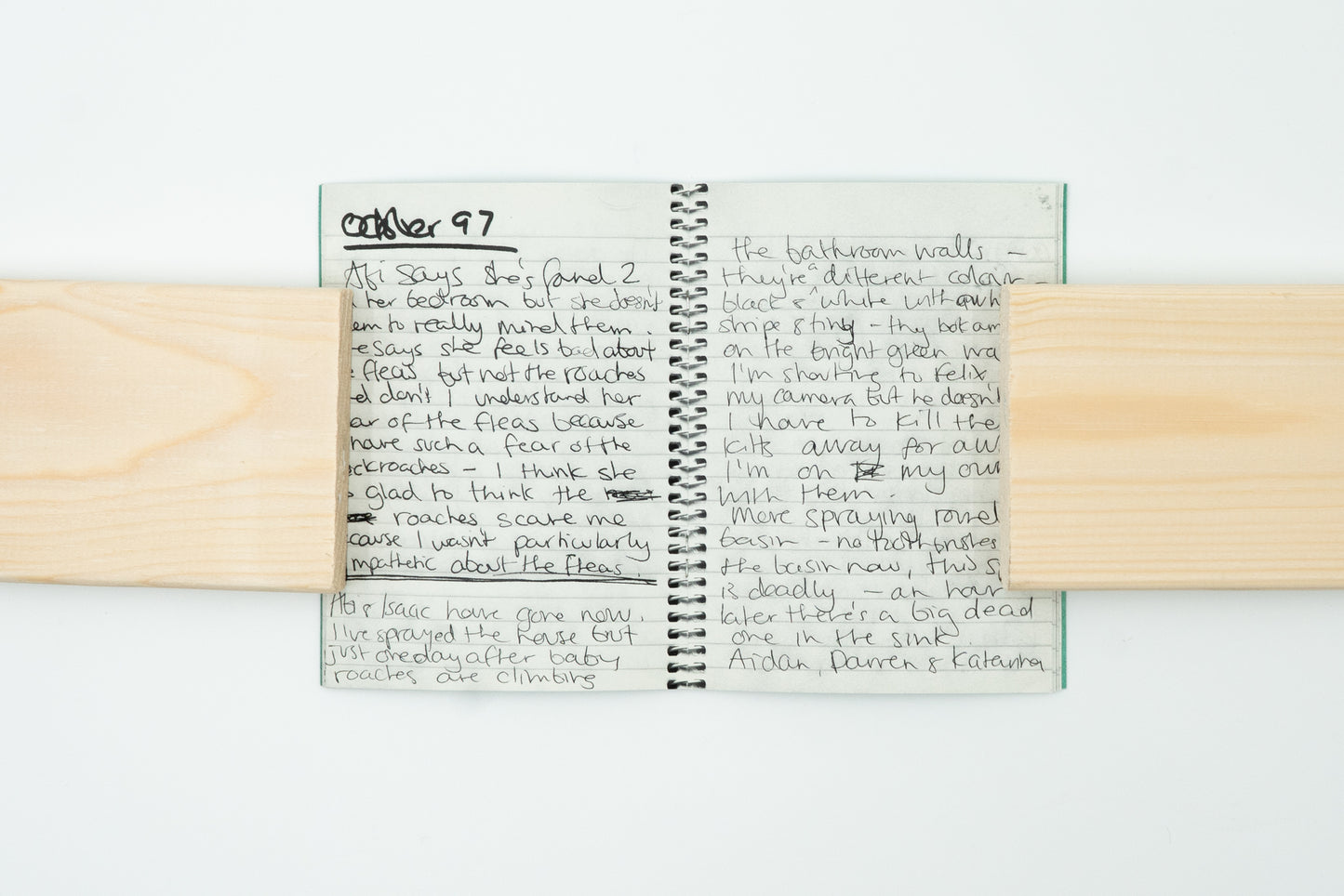 Cockroach Diary｜Anna Fox