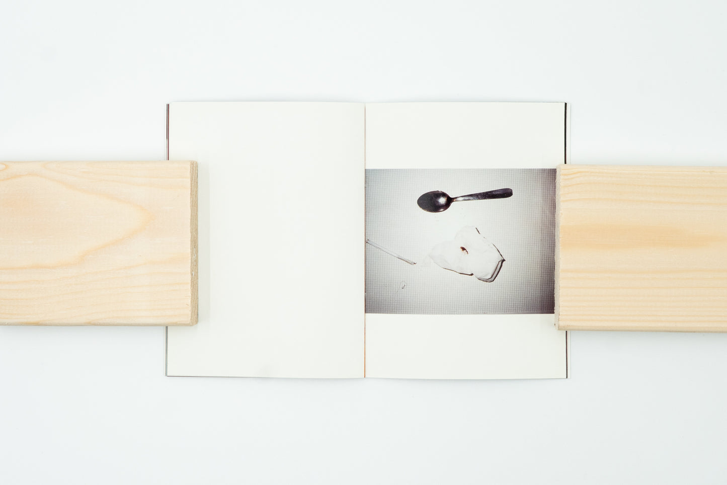 Cockroach Diary｜Anna Fox