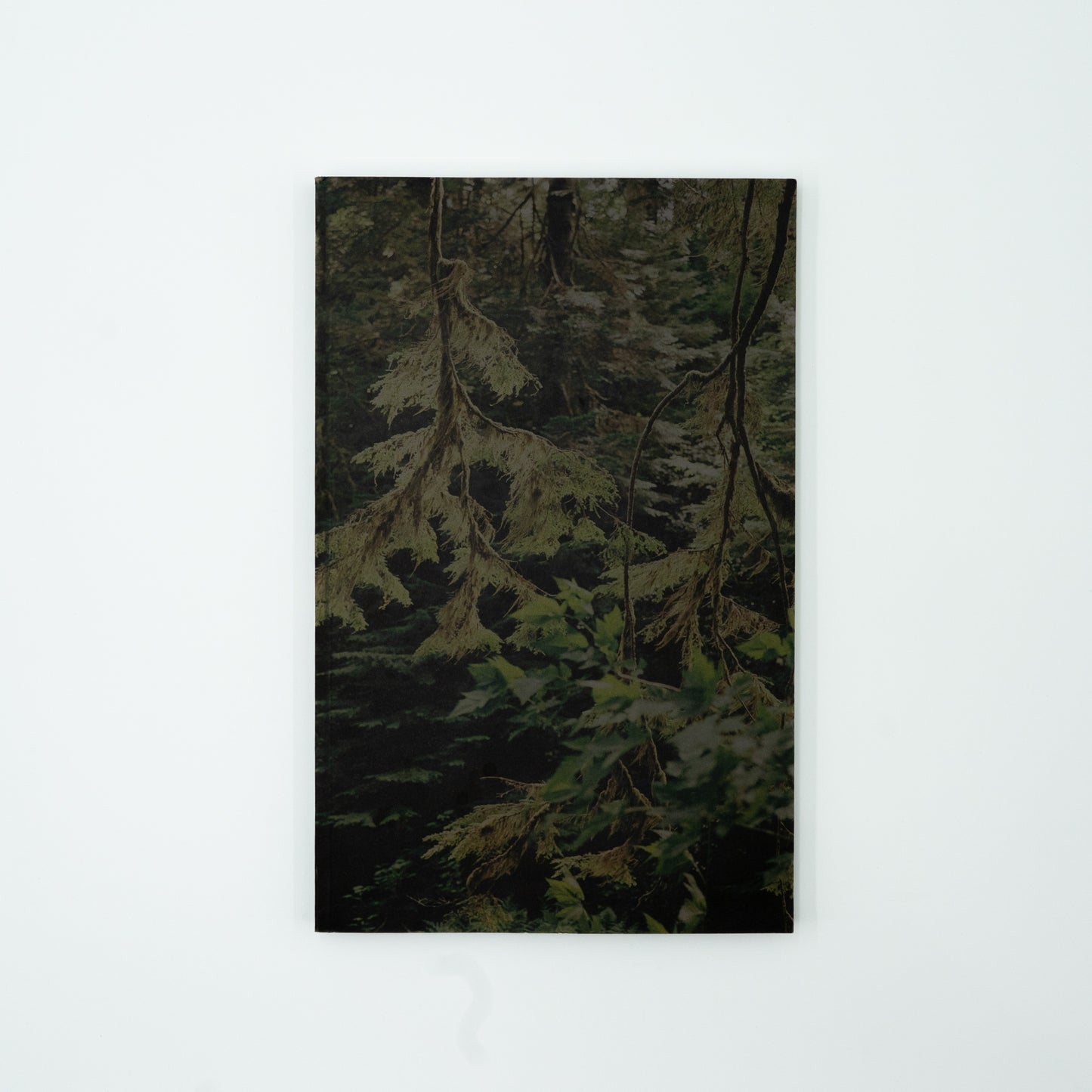 Doug's Cabin｜Karianne Bueno