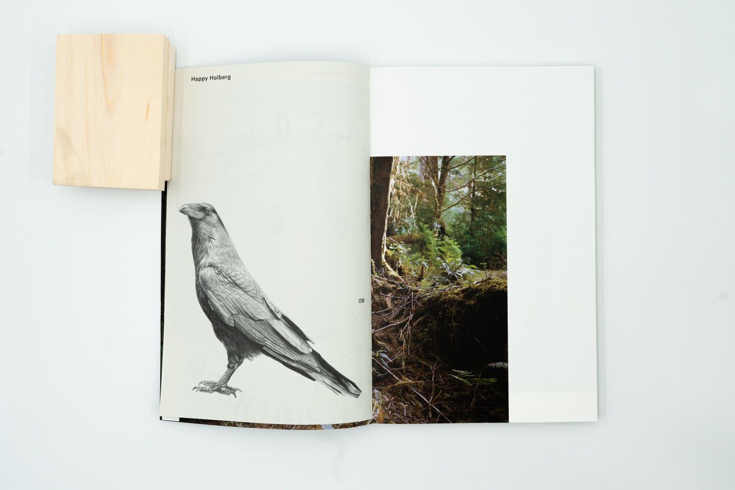 Doug's Cabin｜Karianne Bueno
