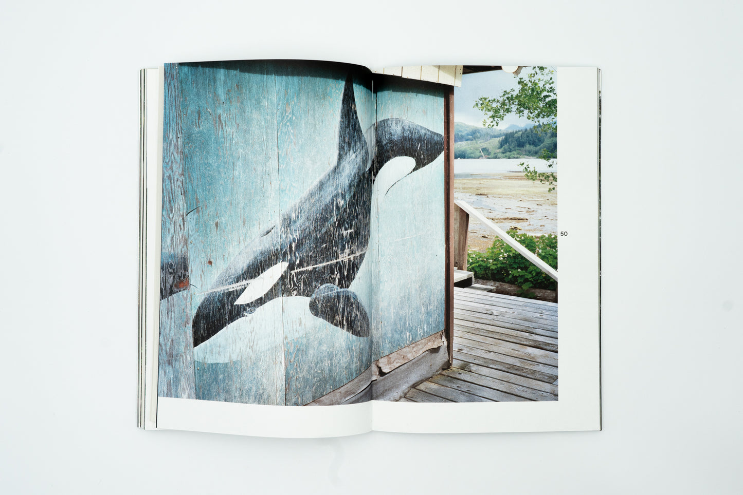Doug's Cabin｜Karianne Bueno
