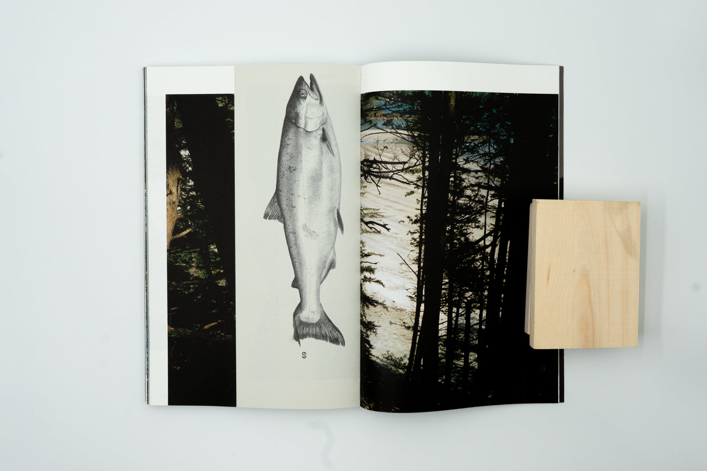 Doug's Cabin｜Karianne Bueno