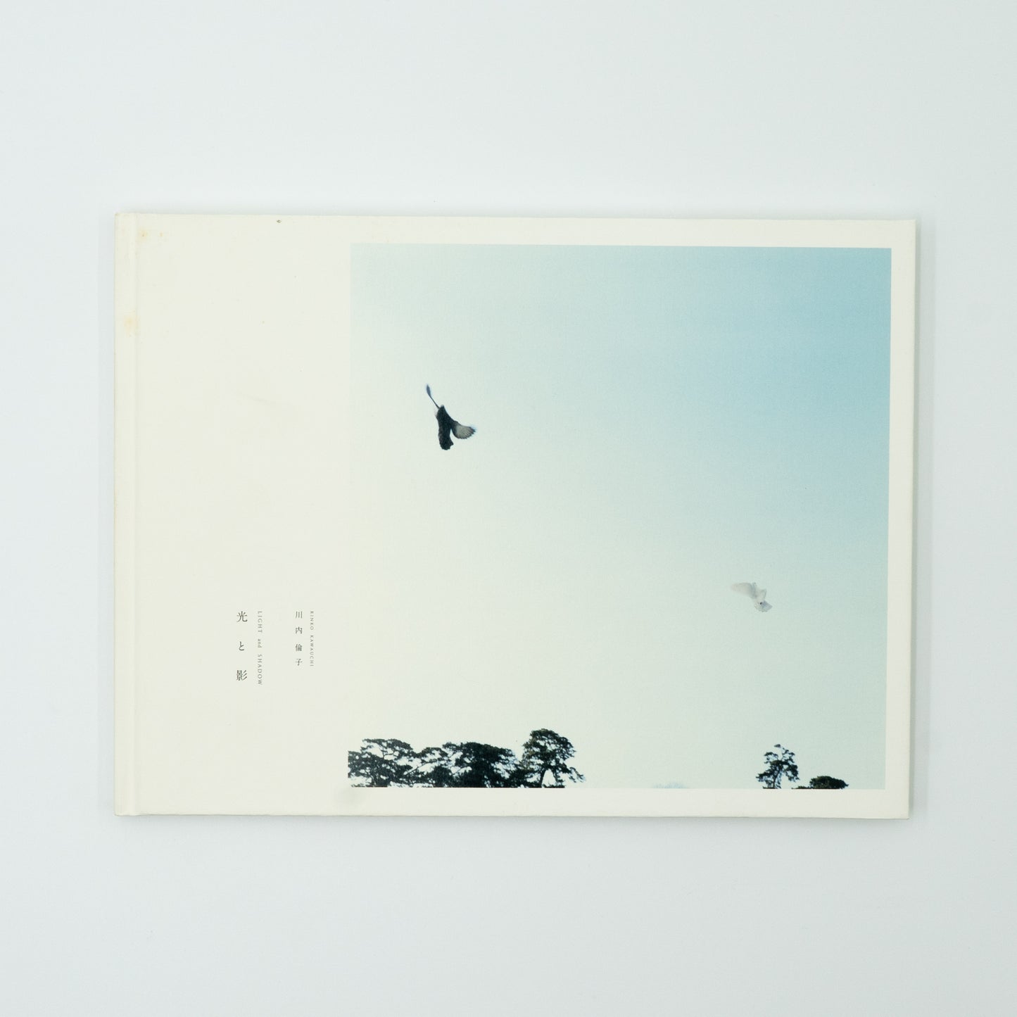 Light and Shadow｜Rinko Kawauchi