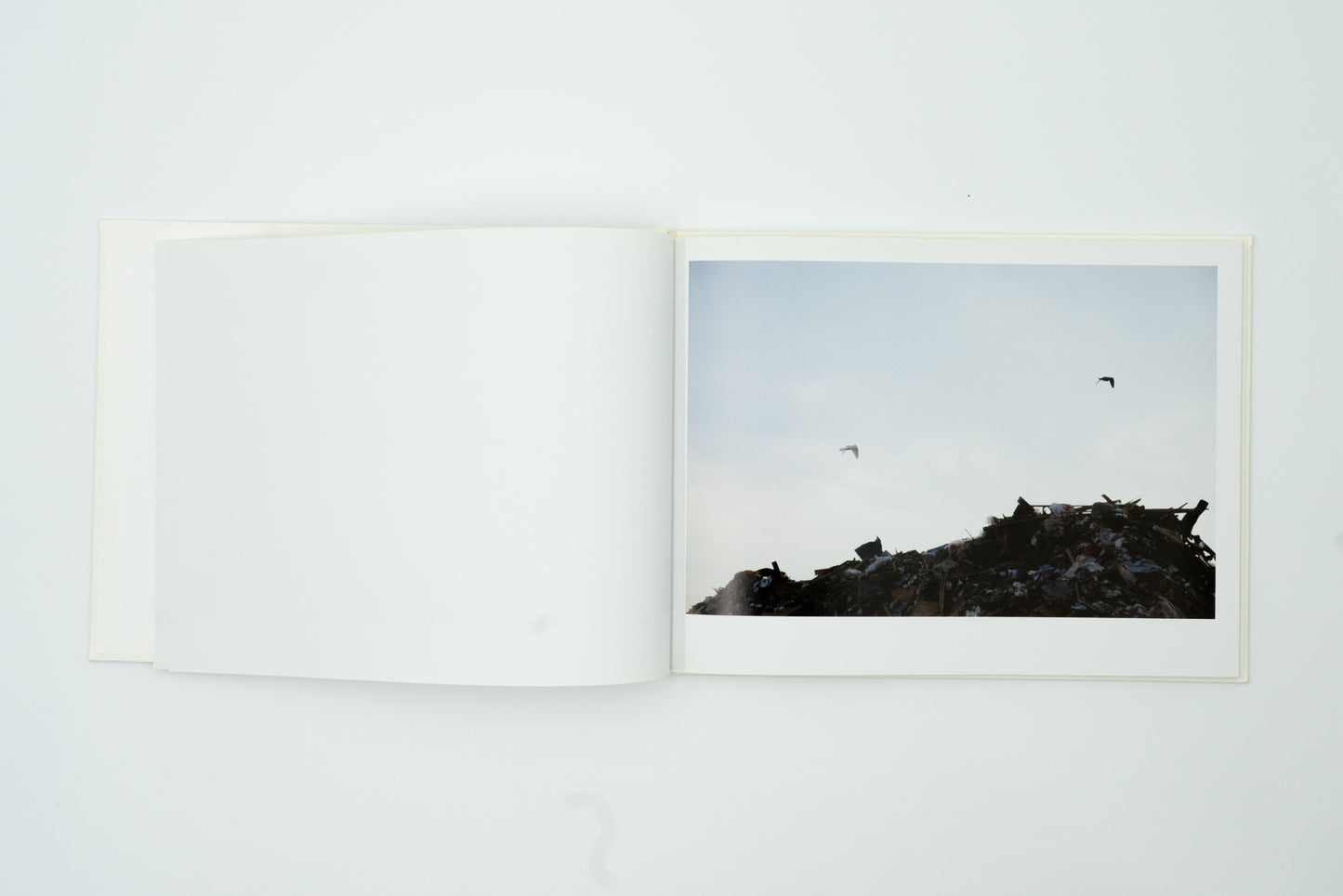 Light and Shadow｜Rinko Kawauchi