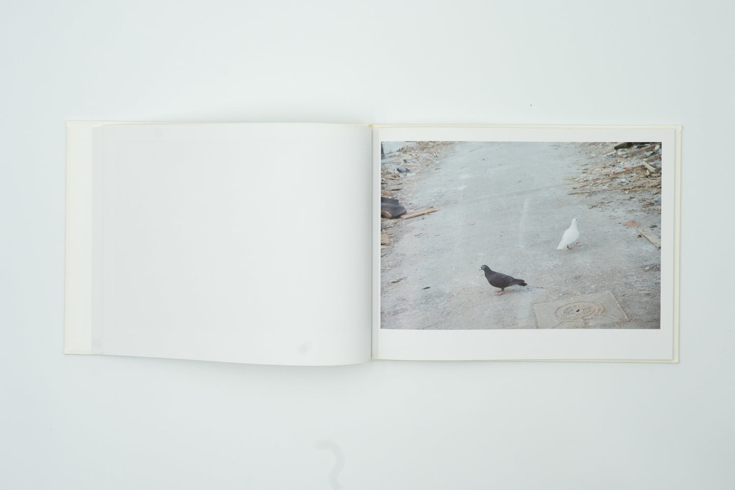 Light and Shadow｜Rinko Kawauchi