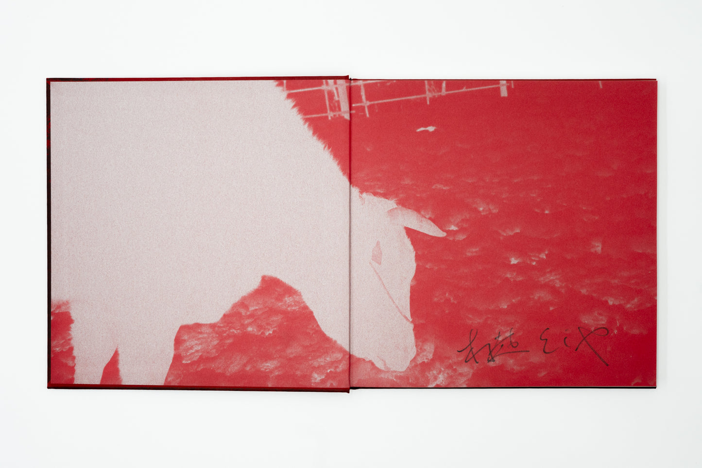 Burn After Seeing｜Toshiya Murakoshi