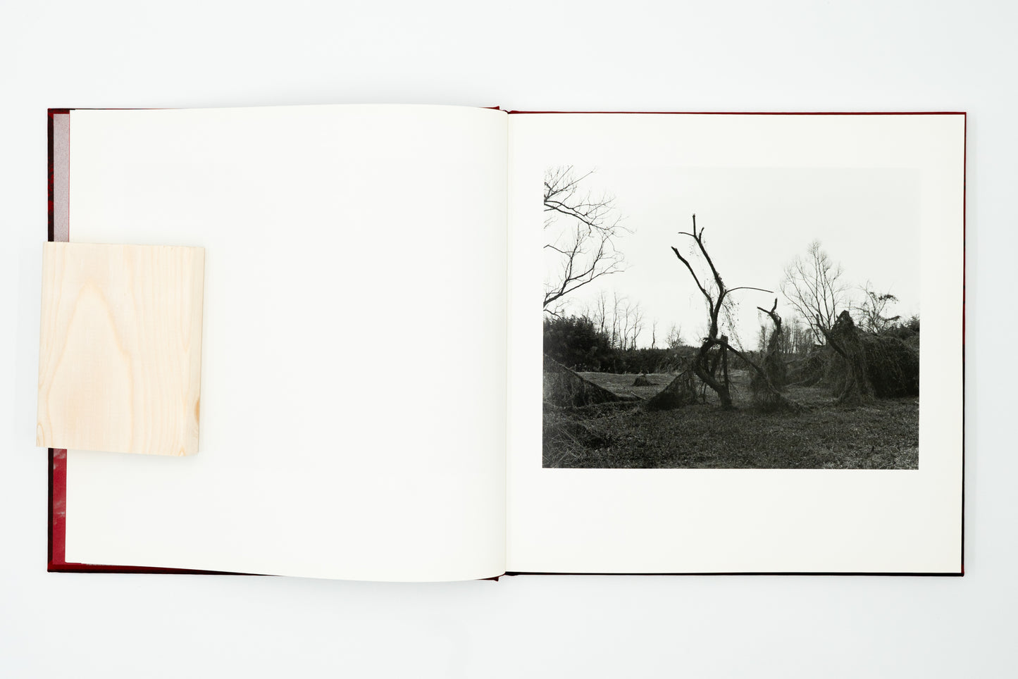 Burn After Seeing｜Toshiya Murakoshi