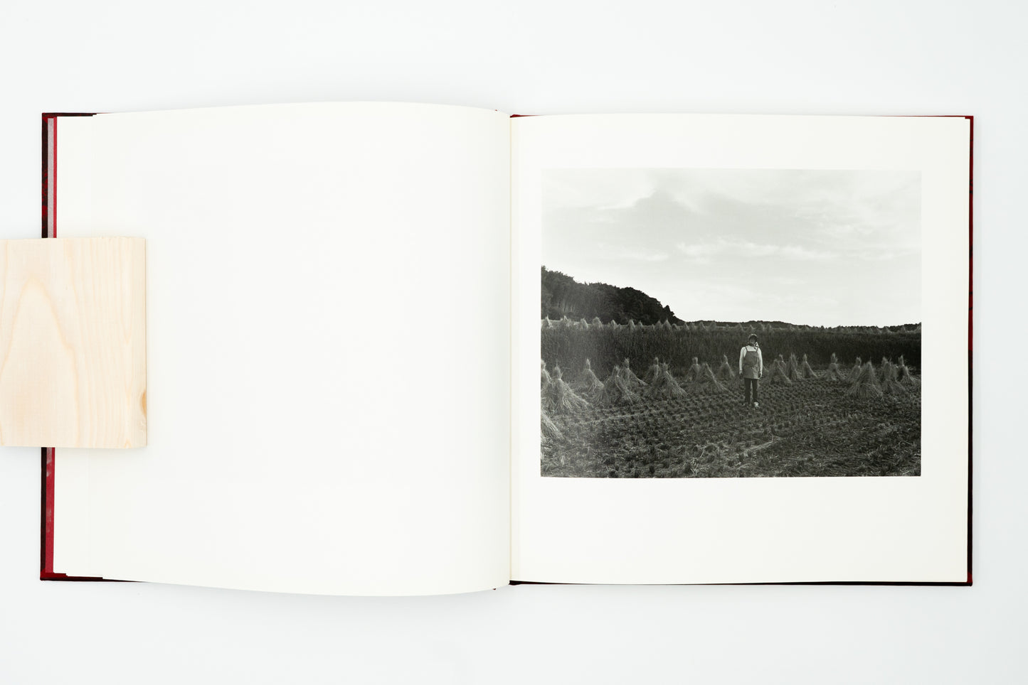 Burn After Seeing｜Toshiya Murakoshi