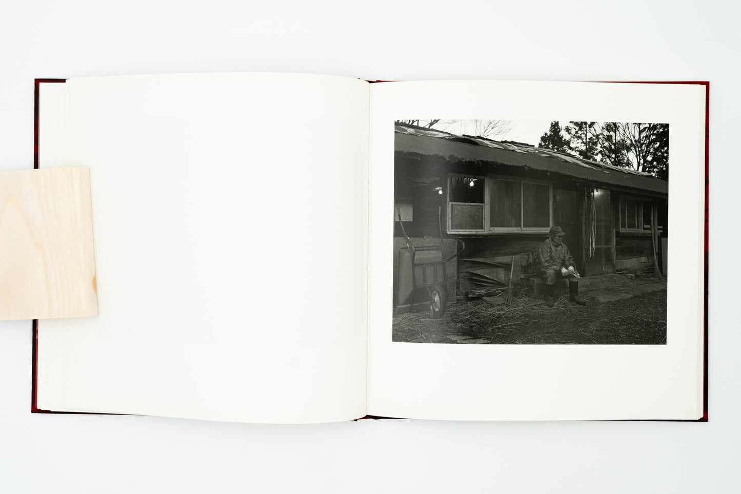Burn After Seeing｜Toshiya Murakoshi