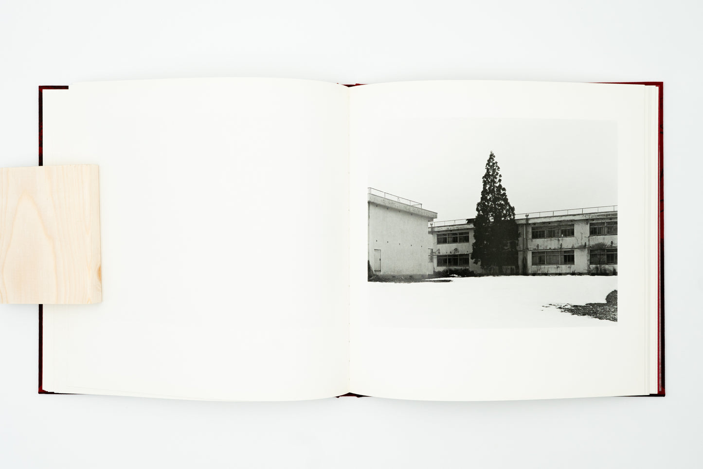 Burn After Seeing｜Toshiya Murakoshi
