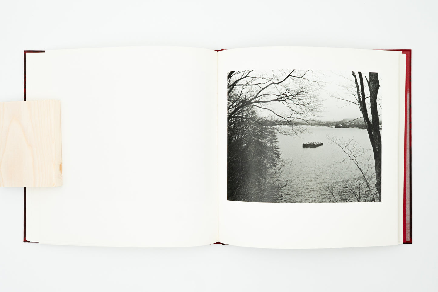 Burn After Seeing｜Toshiya Murakoshi