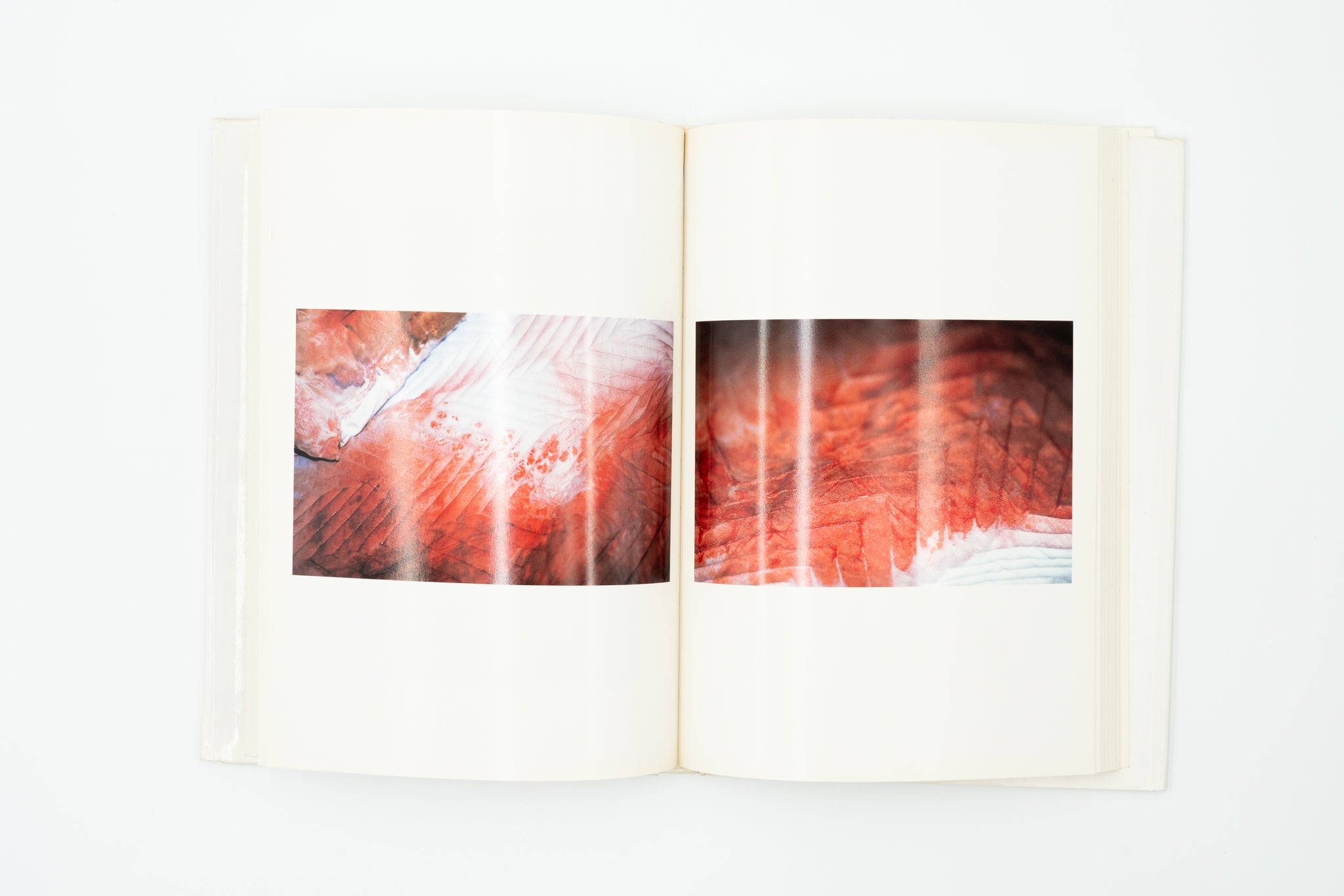目のまえのつづき Menomaeno Tsuzuki｜大橋仁 – nagaya paper lab