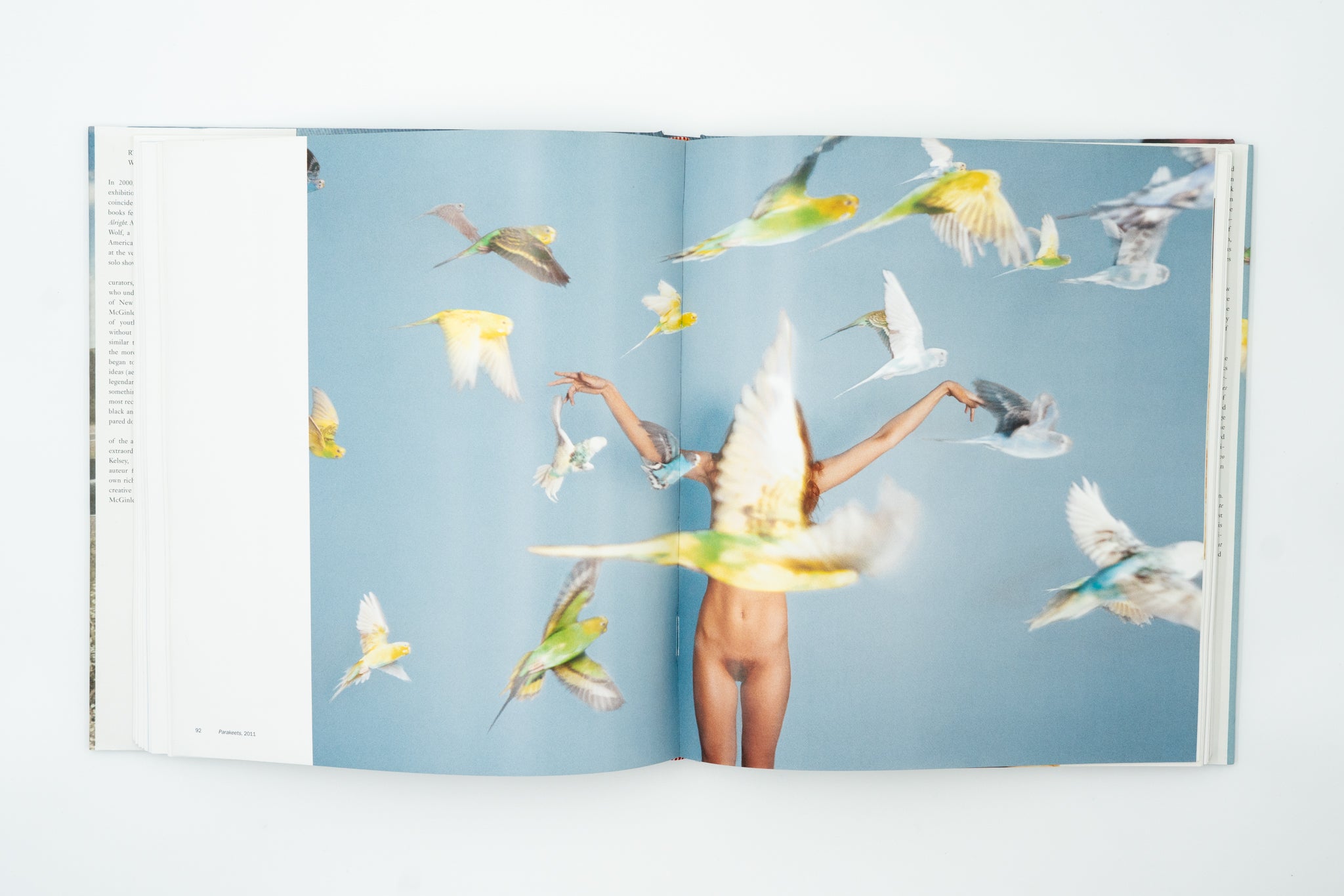 Ryan McGinley: Whistle for the Wind ライアン・マッギンレー