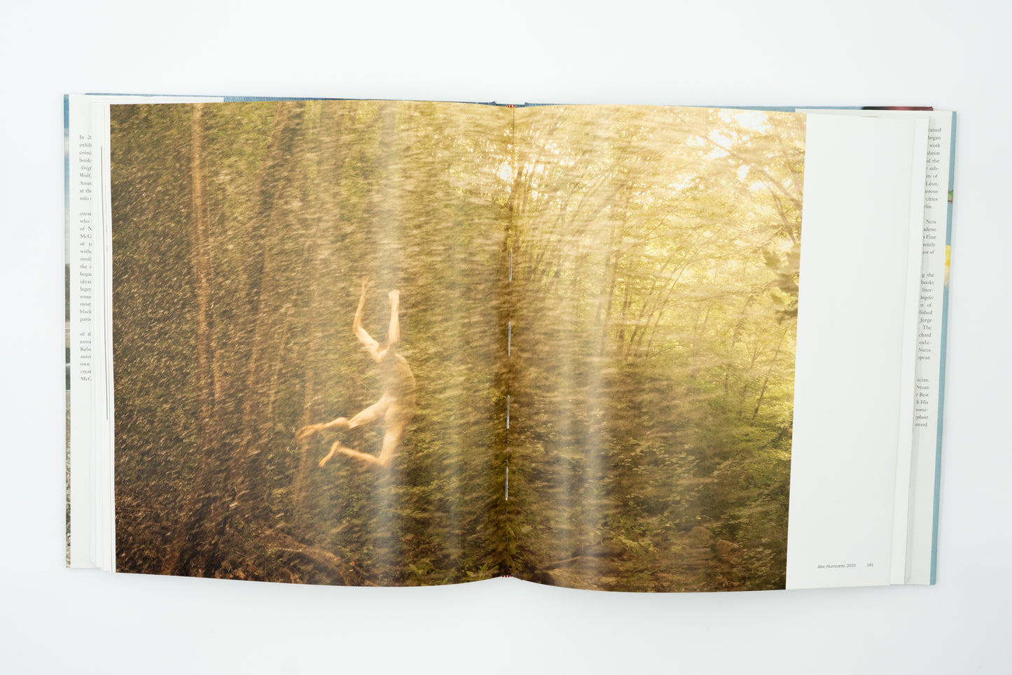 Whistle for the Wind｜Ryan McGinley