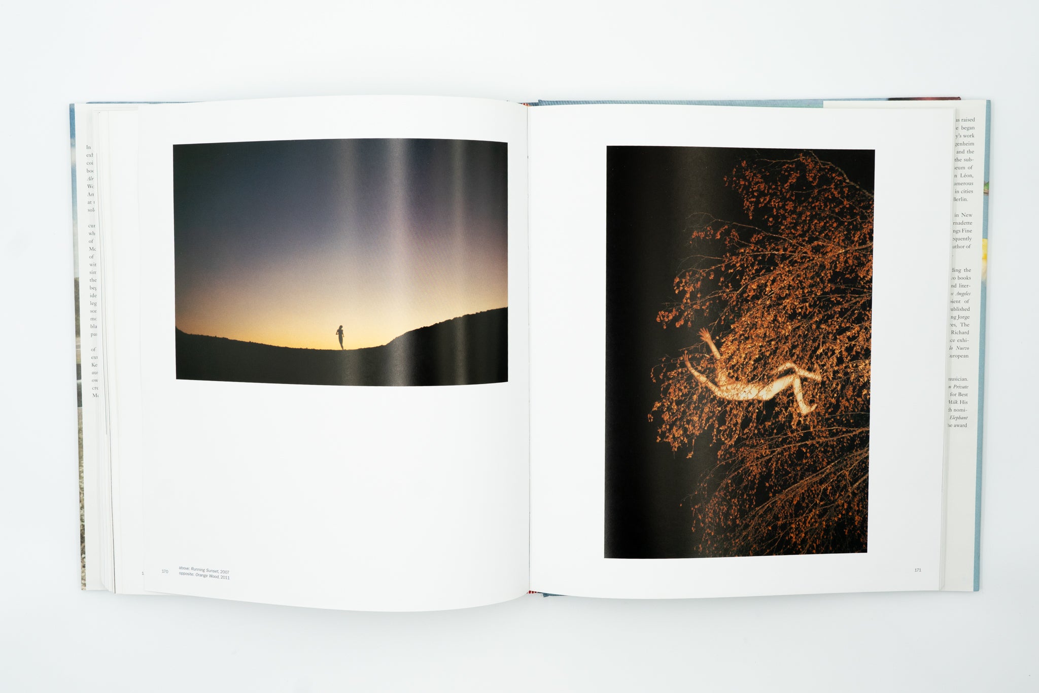 Whistle for the Wind｜Ryan McGinley – nagaya paper lab