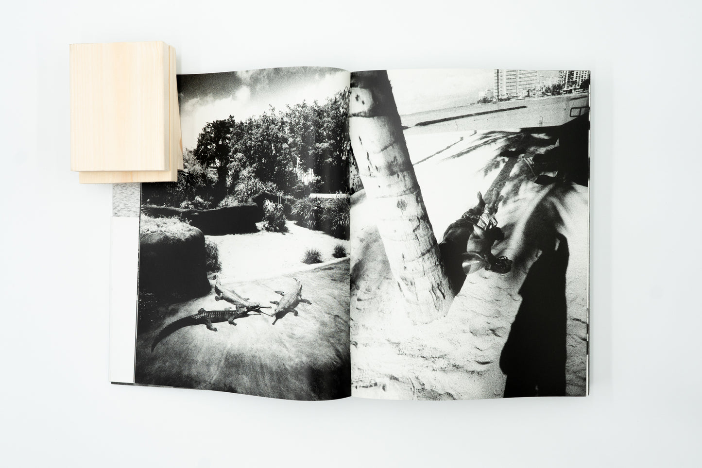 Hawaii｜Daido Moriyama