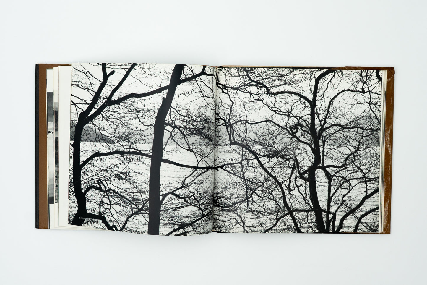 Sonorama Photo Selection 3: Scenic Beauty of Japan｜Yoichi Midorikawa