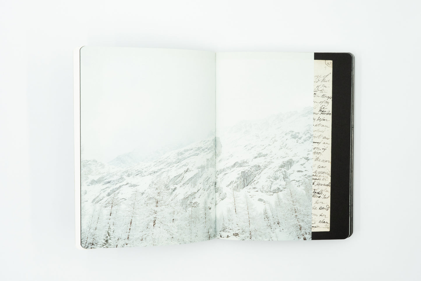 In Search of Frankenstein - Many Shelley's Nightmare｜Chloe Dewe Mathews