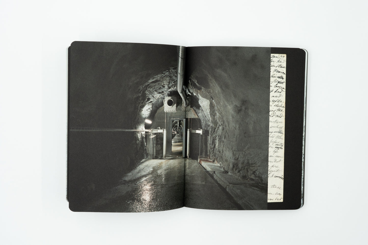 In Search of Frankenstein - Many Shelley's Nightmare｜Chloe Dewe Mathews