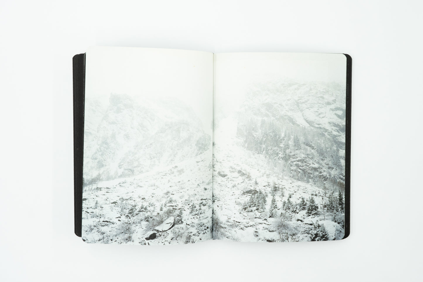 In Search of Frankenstein - Many Shelley's Nightmare｜Chloe Dewe Mathews