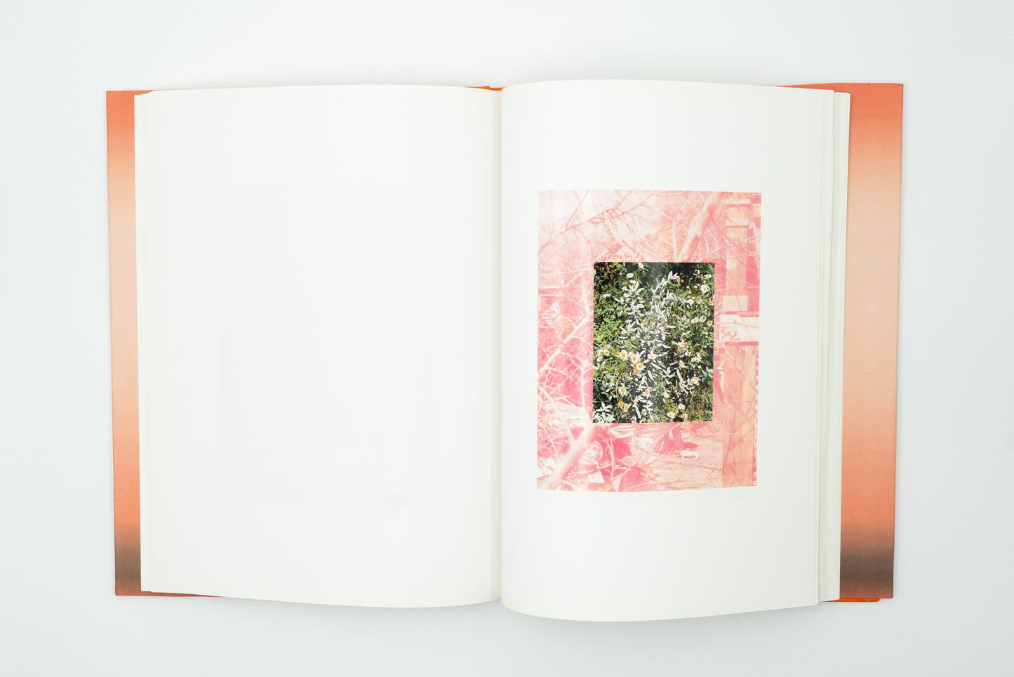 Rockaway, NY｜Roe Ethridge