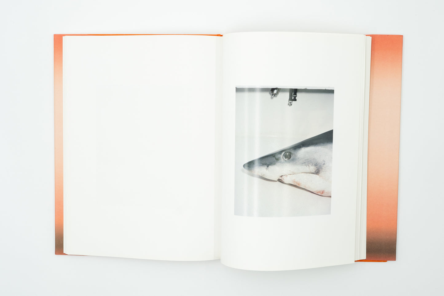 Rockaway, NY｜Roe Ethridge