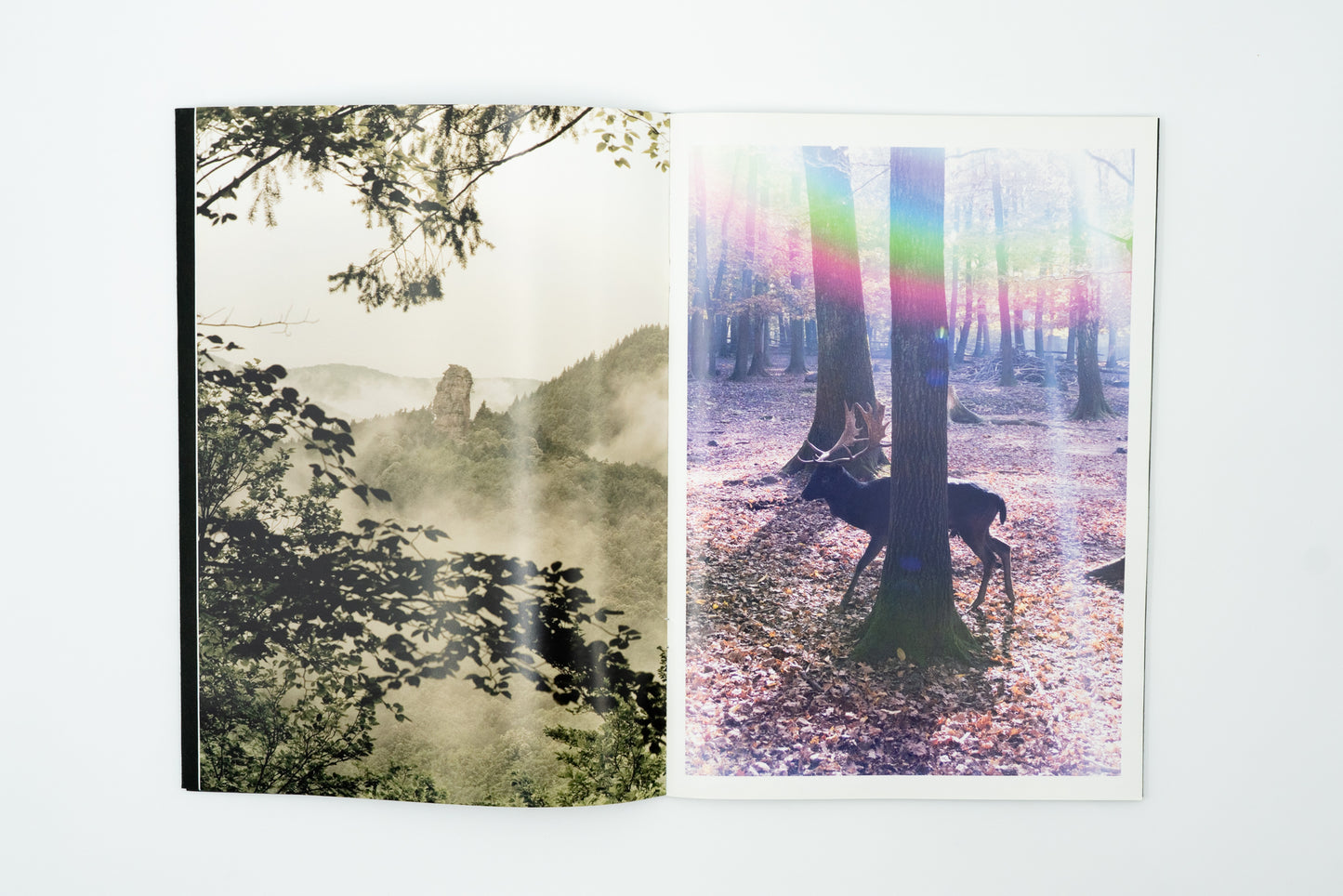 Allerseelen｜Alexander Binder