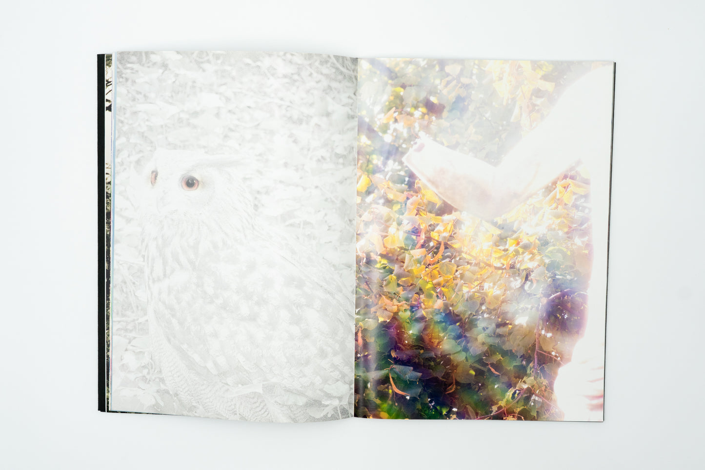 Allerseelen｜Alexander Binder