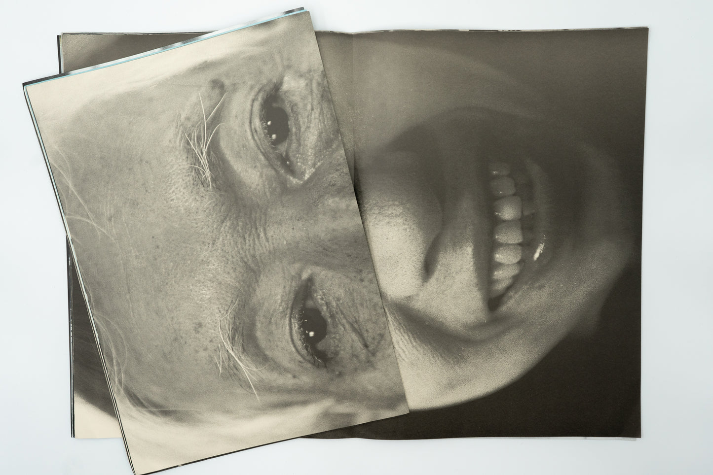 Incipient Strangers｜Yoshikatsu Fujii
