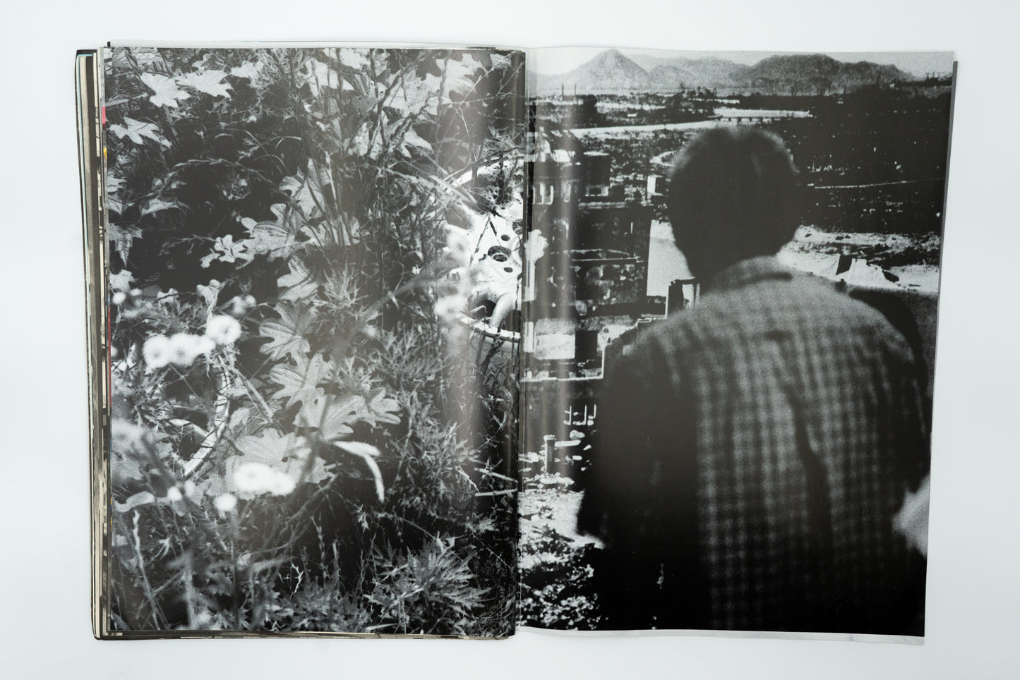 Incipient Strangers｜Yoshikatsu Fujii