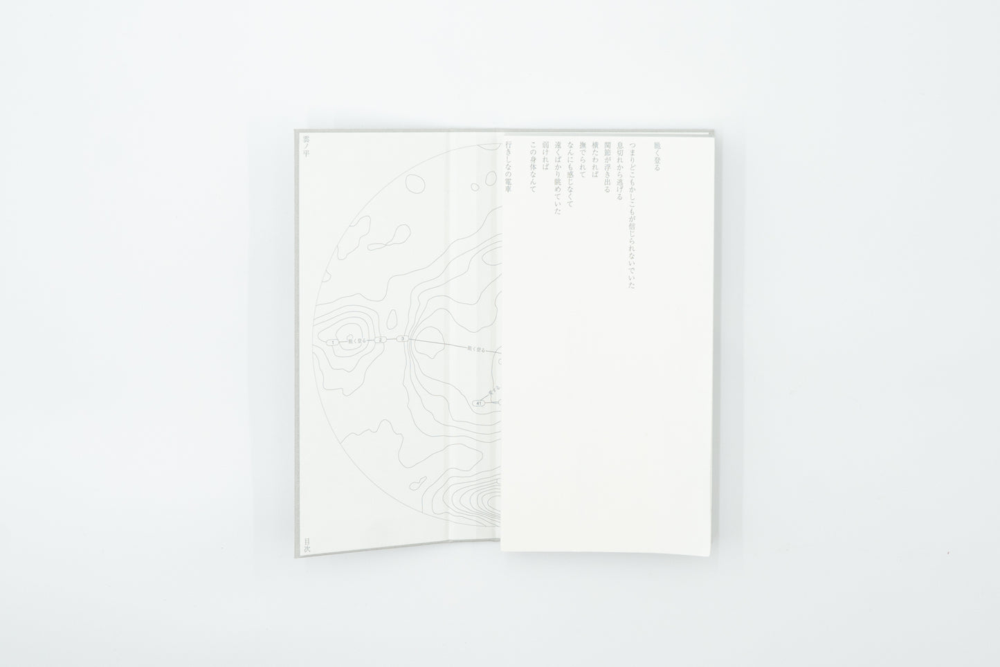 Kumonodaira Plateau｜Mew Imashuku (signed)