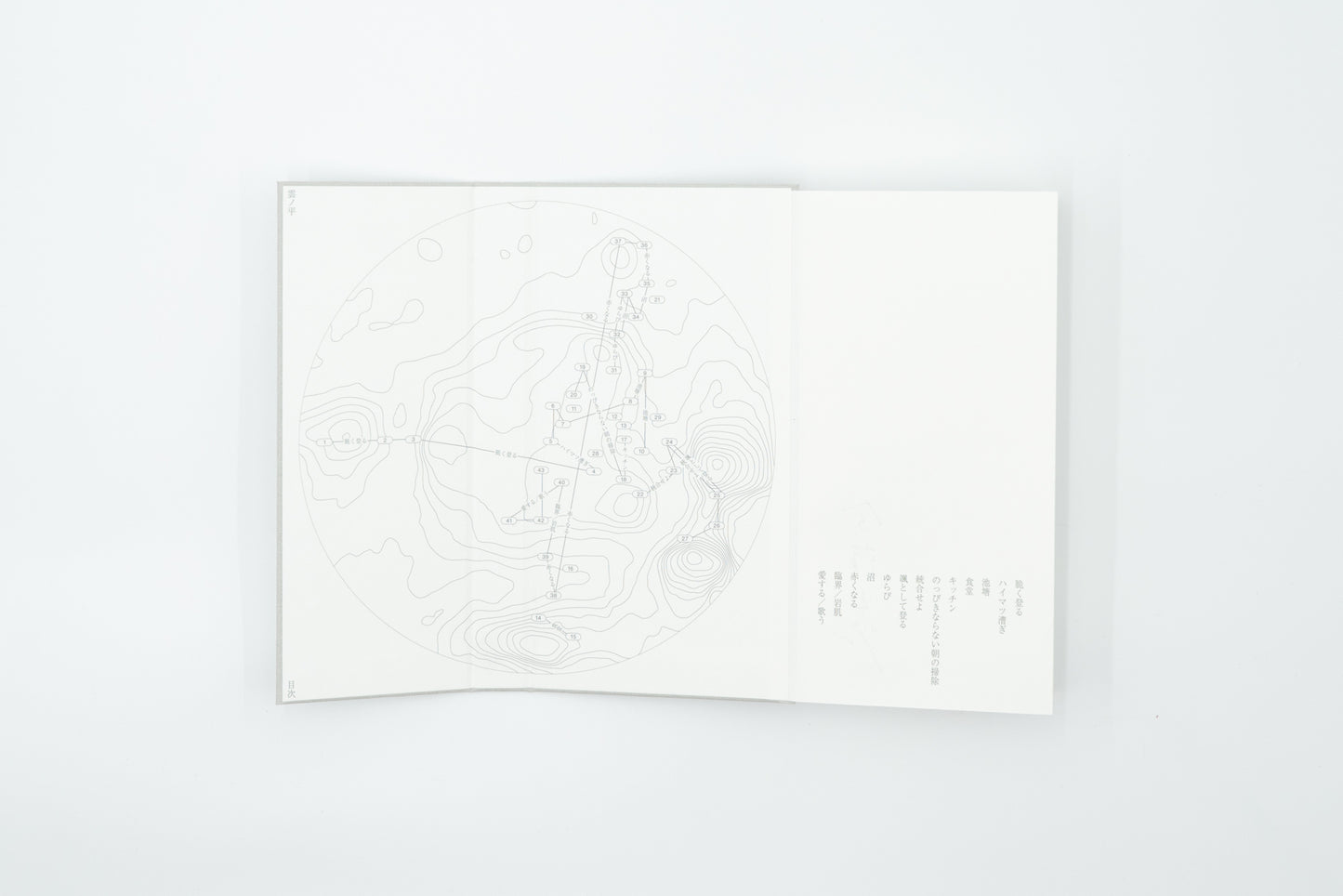 Kumonodaira Plateau｜Mew Imashuku (signed)