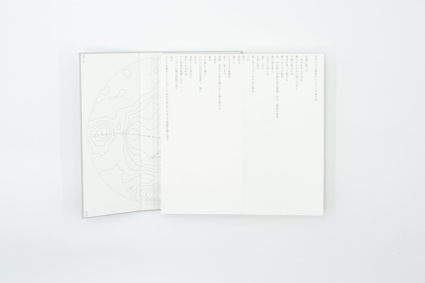 Kumonodaira Plateau｜Mew Imashuku (signed)