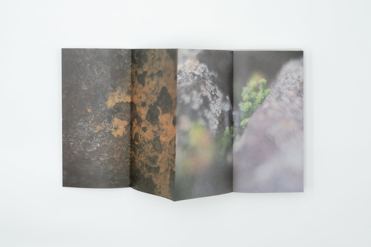 Kumonodaira Plateau｜Mew Imashuku (signed)